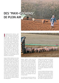 Porc : pieds panés, jambon à la moutarde ancienne , pied pané, paté, tourte aux noix et au comté