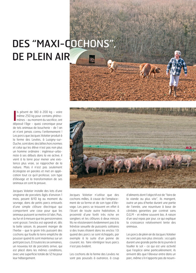 Porc : pieds panés, jambon à la moutarde ancienne , pied pané, paté, tourte aux noix et au comté