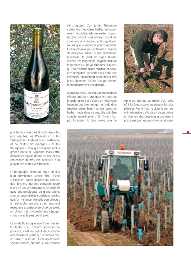 Vins, Romané conti, Vosne-Romanée, Gevrey-Chambertin, Pommard, Montrachet, Nuits Saint-Georges